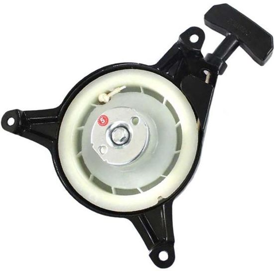 Kompatibilis Karburátor MTD 1P65, 1P70, Thorx 45 (lengéscsillapítóval - Foto 7