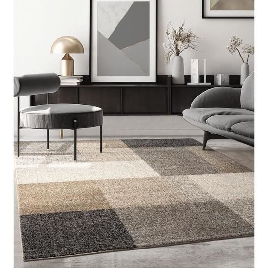 Tapis Moderne Poils Courts Antidérapant Lavable - Salon/Chambre - Marron Clair XXL 240x300 Cm