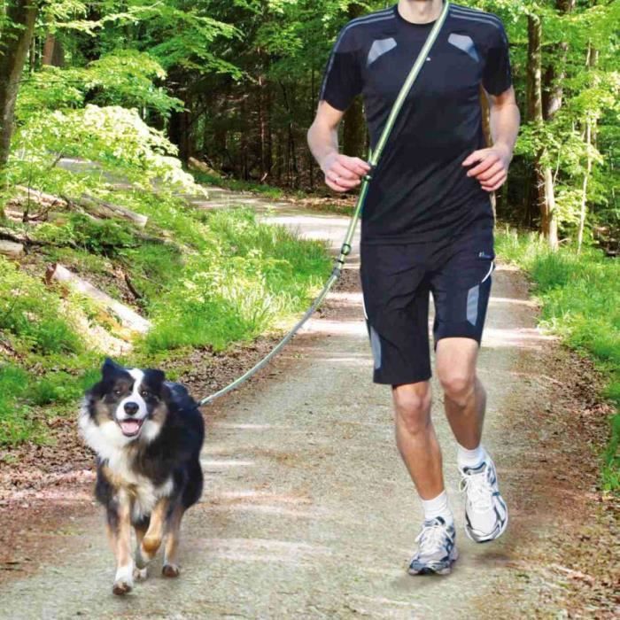 Laisse jogging - 1,33-1,80 M-20 mm, gris-vert