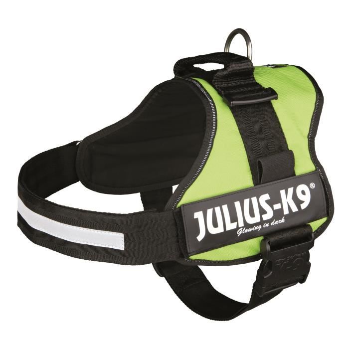 Harnais Power Julius-K9 - 3 - XL : 82-118 cm-50 mm - Vert pastel - Pour chien