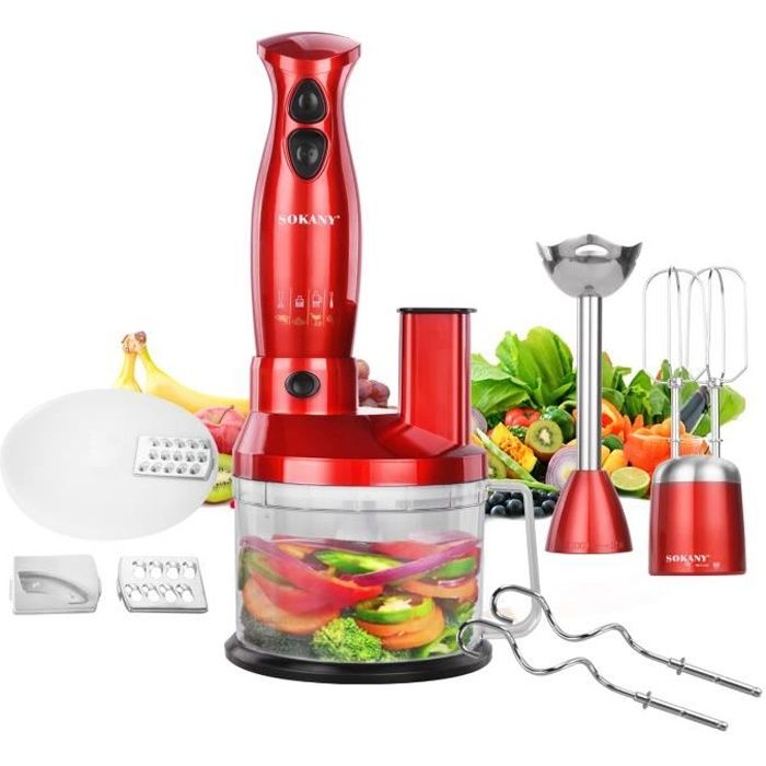 Mixeur Plongeant Inox 5 en 1, Mélangeur électrique 700W avec accessoires pour hacher, presser, mélanger VINTEKY®