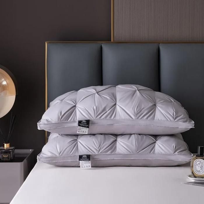 Oreiller Plume D'Oie 50x70cm Lot De 2 - Duvet Naturel 790g - Housse Coton Lavable - Certifié Öko-Tex Et RDS