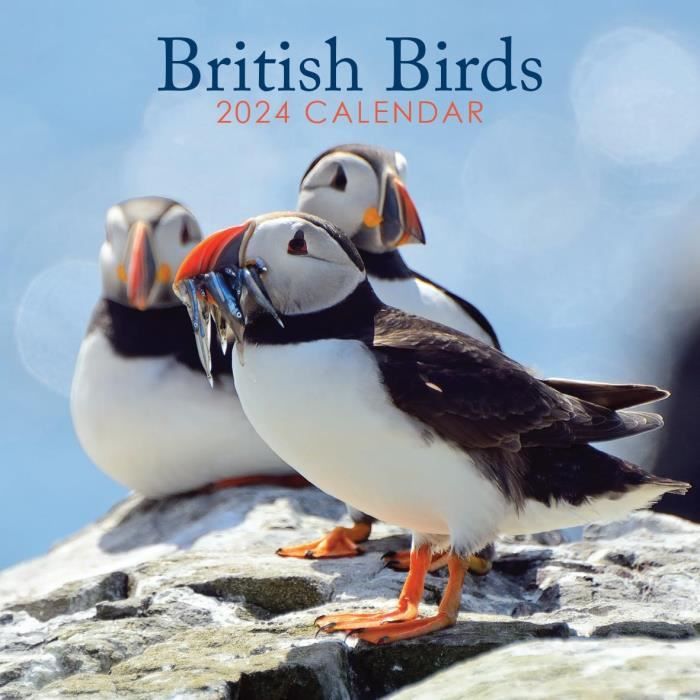 Calendrier mural oiseaux du monde 2024 - broché - Collectif, Livre