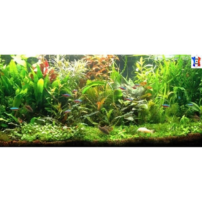 Plantes vivant aquarium AXOLOTL lot de 40 plantes en 7 variétés à racines et tiges pour eau