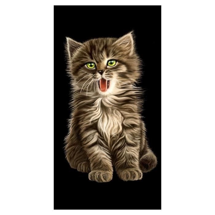 Drap De Plage Chaton Cdiscount Maison Drap De Plage Chaton Cdiscount Maison