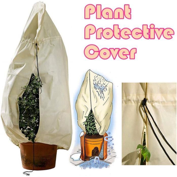 Housse d'hivernage et de protection pour plantes 200x300 cm