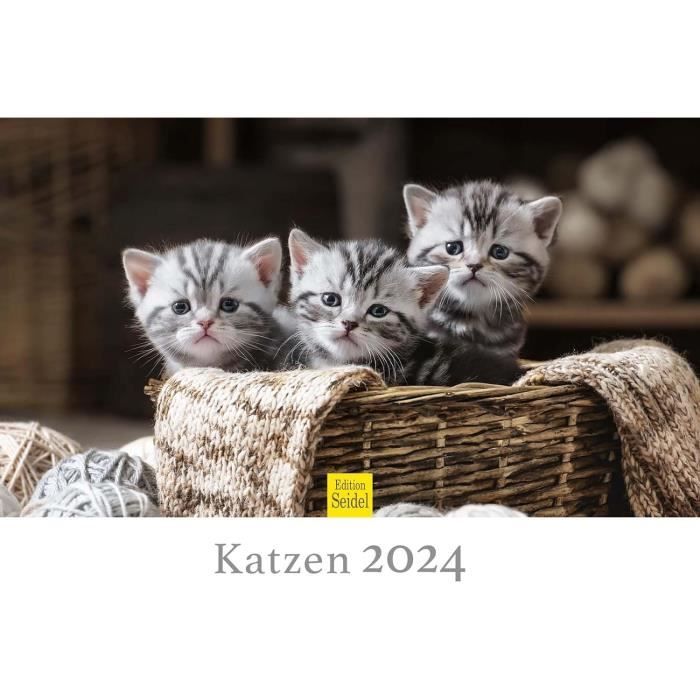 Edition Seidel Calendrier Ural 2021 De Qualité Supérieure - Forat A3 - Écosse