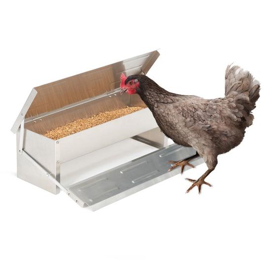 Abreuvoir Automatique Pour Poulet - Distributeur D'eau Avec Tasses