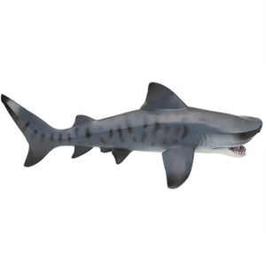 FLORMOON Megalodon Jouet réaliste de grandes figurines de requin Jouet  éducatif pour enfants : : Jeux et Jouets