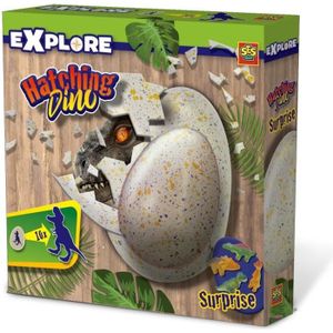 Drfeify Jouet d'oeufs à couver de dinosaure 30 pièces de dinosaures  incubent des œufs en jouets casse-tete 30 30 fissures blanches - Cdiscount