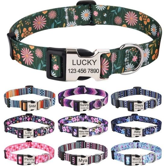 Collier Personnalisé Prénom Téléphone Chien