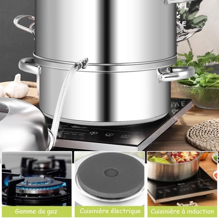 Extracteur de Jus électrique à Vapeur 11L d'Aluminium, 3 Etages avec Couvercle Verre Trempé, Poignée de Portable, Grande Capacité,