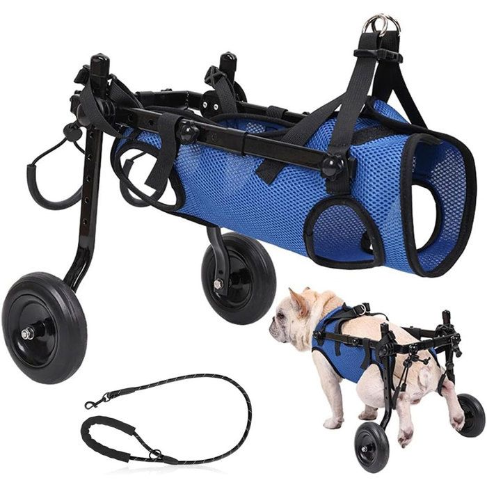 Fauteuil roulant réglable pour chien Membre postérieur Patte postérieure Handicapé Chat Chien Aide à la mobilité Chariot Bleu S