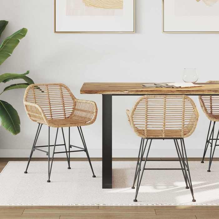 Chaise intérieure moderne vidaXL Fauteuil de salle à manger 2 pcs Rotin et métal Naturel(10909）