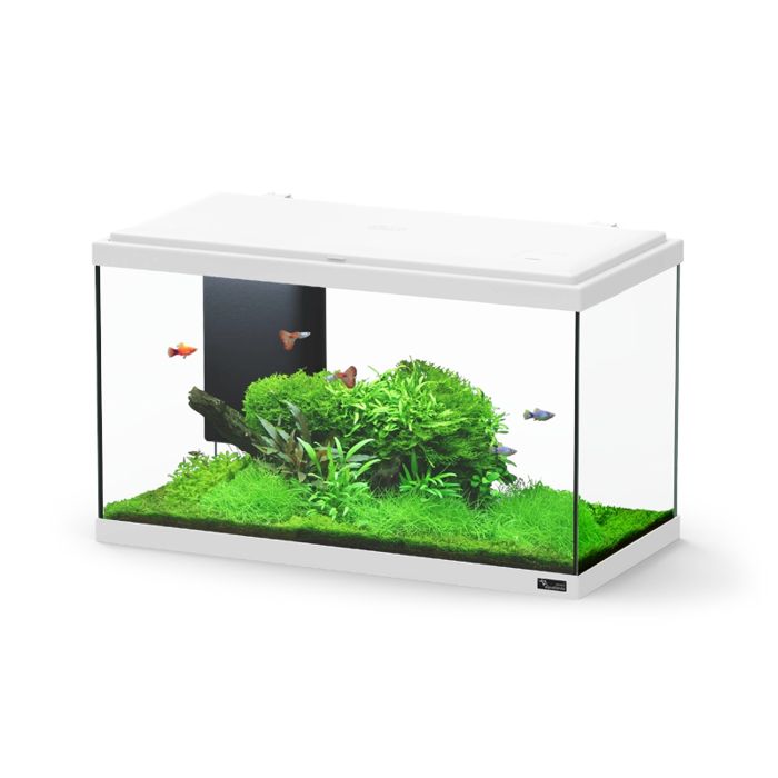 Comparer les prix de Aquarium poisson Explorer Paris Bio 58L blanc - Aquatlantis Blanc