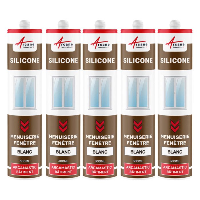 Mastic Silicone intérieur / extérieur pour fenêtres et menuiseries ARCAMASTIC BATIMENT 5 x