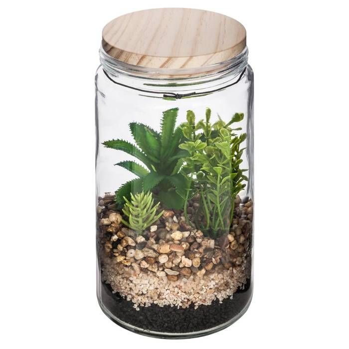 Meilleurs prix pour Terrarium avec plante artificielle - pot en verre et couvercle en bois - H22 cm - Modèle 2 - Atmosphera createur d'interieur