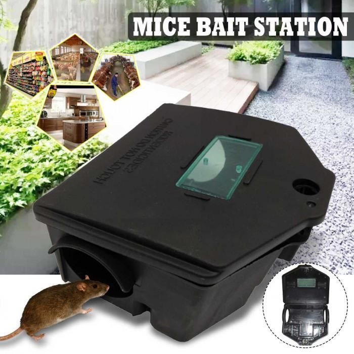 Rat rongeur box appâts big station Piège & clé sécurise poison Pour Rat Pest control 