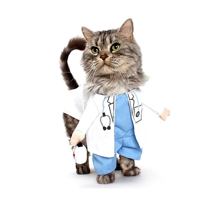Costume pour chat et petite chien docteur deguisement vetement animal