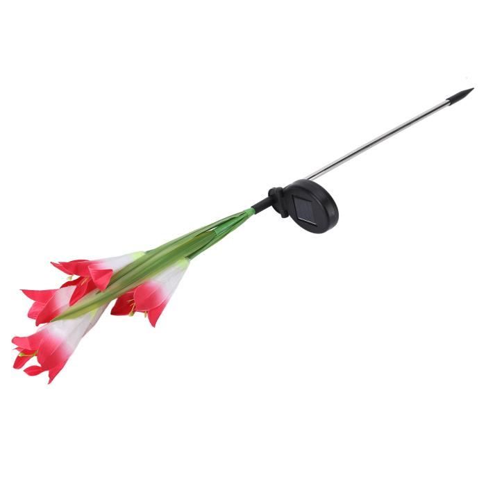 Papillons Flottants Dansants à énergie Solaire, Colibri Volant, Plantes