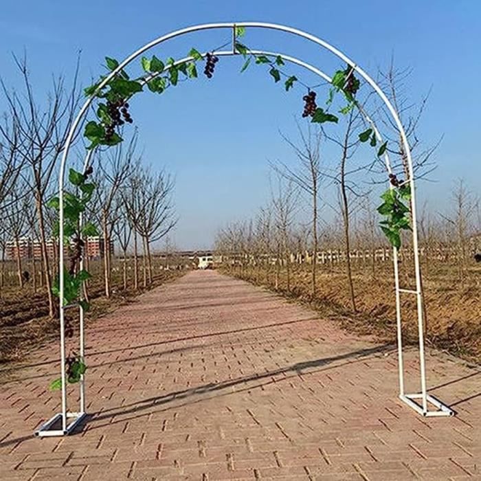 Arche De Jardin En Métal Noir - 100 Cm Large, 220 Cm Haut - Pour Plantes Grimpantes (roses, Vignes) - Pergola Extérieure Résistante - 12
