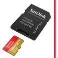 Carte Mémoire MicroSDXC SanDisk Extreme 128 Go - Performances Applicatives A2 - Classe 10, U3, V3-3