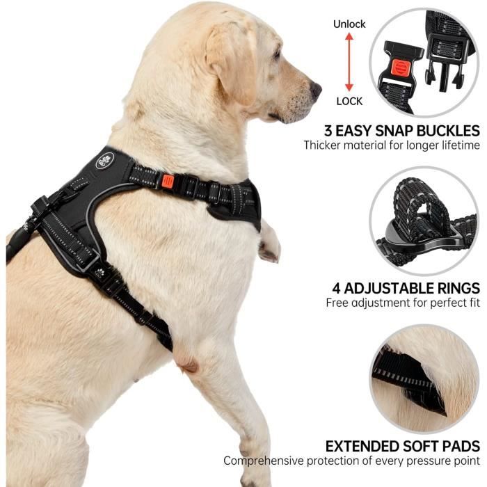 Harnais Anti-Traction Pour Petit Chien Et Chat - Taille XXS, Noir, Réfléchissant, Avec Laisse 150cm