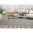 Tapis de Salon ou Terrasse en gris 80x150 | Tapis plat moderne | Rectangulaire | Interieur et Exterieur - The Carpet Ottowa-0