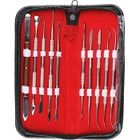 Elisona® 10 PCS Dentaire Kit trousse à outils Instruments dentiste
