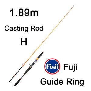 Canne peche 200g Achat Vente pas cher 99% Carbone 2 Section Lente Gabarit Tige Canne À Pêche FUJI