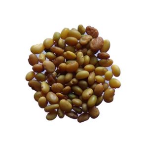 3 Grammes - SEM05 Engrais Vert - Green Manure Trifolium Repens MicroClover Micro-Tr/èfle Pipolina