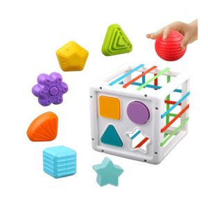 CUBE ÉVEIL Cube d'activité Bébé Module Motricité - Jouet Sens