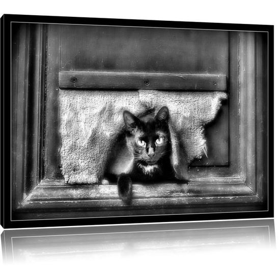 Monocrome Chat Noir Avec Rabat Chien Format 1x80 Sur Toile Xxl Enormes Photos Completement Encadrees Avec Civiere Imprime Cdiscount Maison