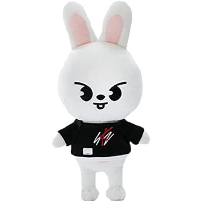 Mignon Jouets en peluche Skzoo poupées en peluche Skz Plushie Stray Kids pour les fans denfants Cadeaux pour les fans denfants1