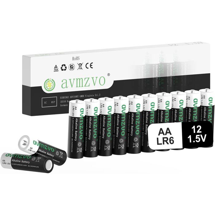 Lot de 6 Piles Super résistantes R20P R20 D UM1