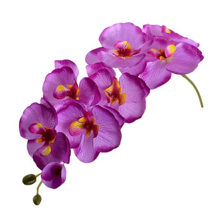 5 x Orchidées Fleur Rose/Rose Fleurs de têtes 13 cm Art Fleurs 