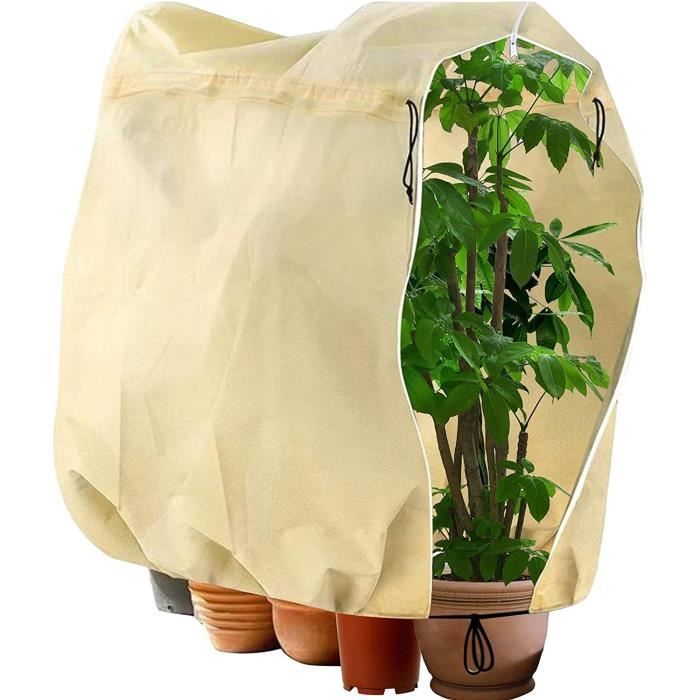 Voile D'Hivernage 2x5m 35g/m² - Protection Anti-Gel Pour Plantes Extérieur - Respirant Et Léger - Pour Arbustes Et Légumes