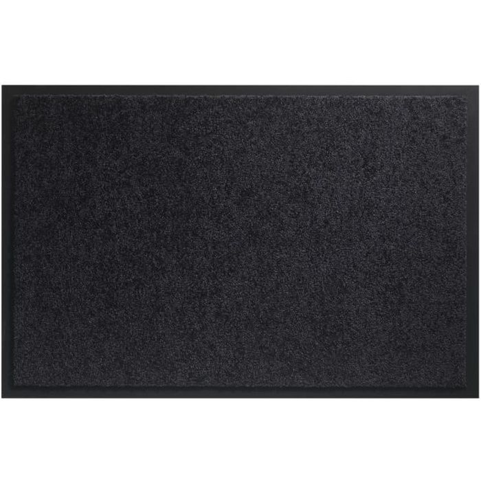 Grand tapis entrée