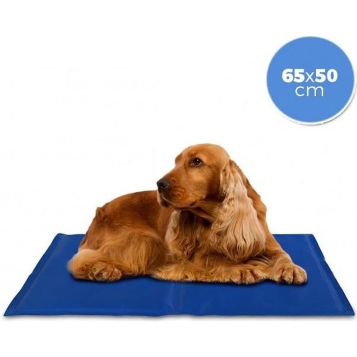 tapis chien rafraîchissant
