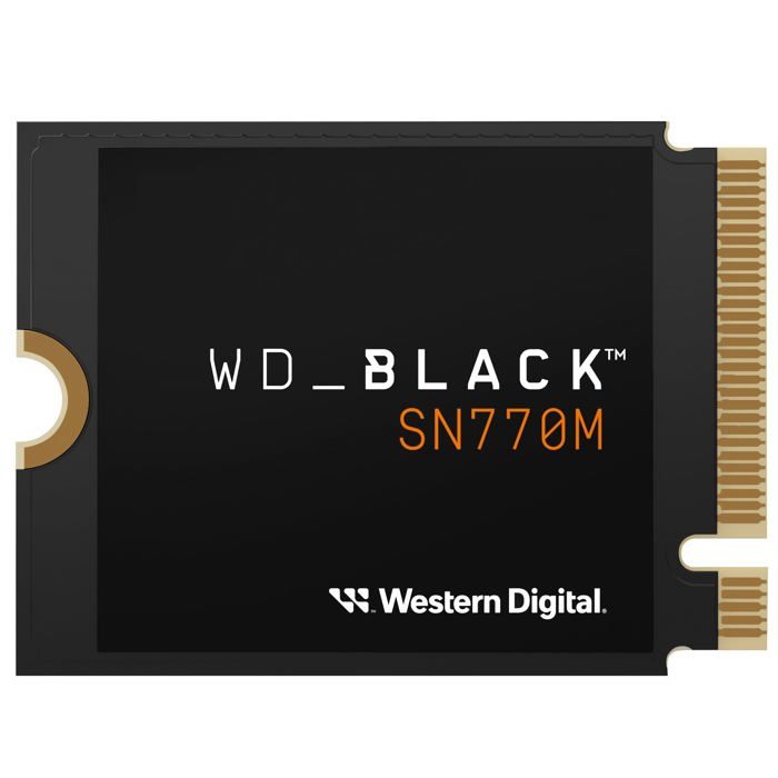 SSD WESTERN DIGITAL SN770M .2 2230 PCIe Gen4 nCache 4.0 - vue 1