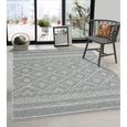 Tapis de Salon ou Terrasse en gris 80x150 | Tapis plat moderne | Rectangulaire | Interieur et Exterieur - The Carpet Ottowa-1