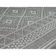 Tapis de Salon ou Terrasse en gris 80x150 | Tapis plat moderne | Rectangulaire | Interieur et Exterieur - The Carpet Ottowa-2