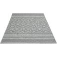 Tapis de Salon ou Terrasse en gris 80x150 | Tapis plat moderne | Rectangulaire | Interieur et Exterieur - The Carpet Ottowa-3