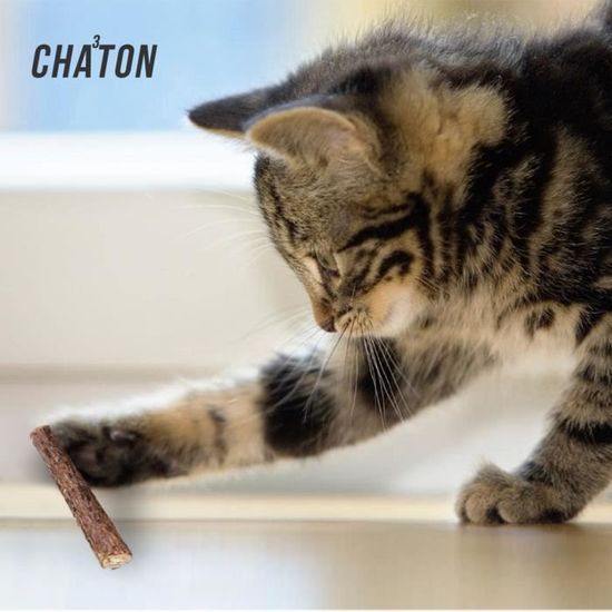 Pointeur Laser Pour Chat 2 Laser Jouet Interactif Lumineux Pour Chat 2 En 1 Avec Baton De Matabi D Herbe A Chat Achat Vente Herbe A Chat Pointeur Laser Pour Chat 2 Cdiscount Pointeur Laser Pour Chat 2 Laser Jouet Interactif Lumineux Pour Chat 2 En 1 Avec Baton De Matabi D Herbe A Chat Achat Vente Herbe A Chat Pointeur Laser Pour Chat 2 Cdiscount