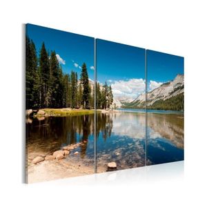 Tableau Montagne Achat Vente Pas Cher