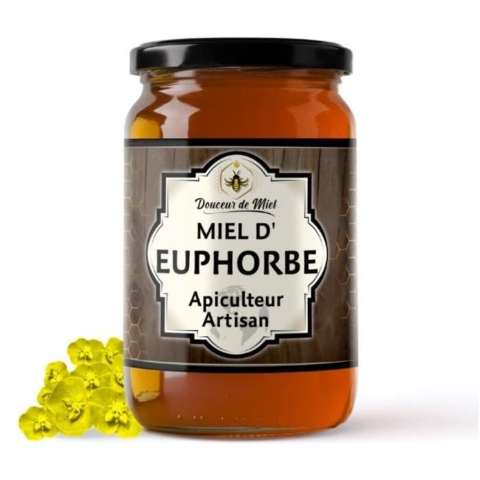 miel d'euphorbe pot 250 (daghmous) artisanal