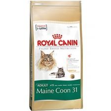 Royal Canin Maine Coon 31 - Croquettes - 2 kg