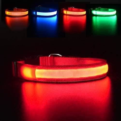 Collier Chien Lumineux Rechargeable et Etanche, LED Clignotant Collier de Sécurité avec Ceinture Réglable(Orange, M)