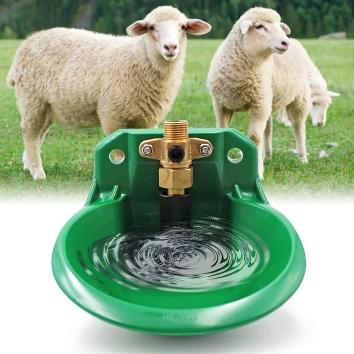 Abreuvoir automatique moutons bovins distributeur eau grande capacité plastique haute qualité usage professionnel