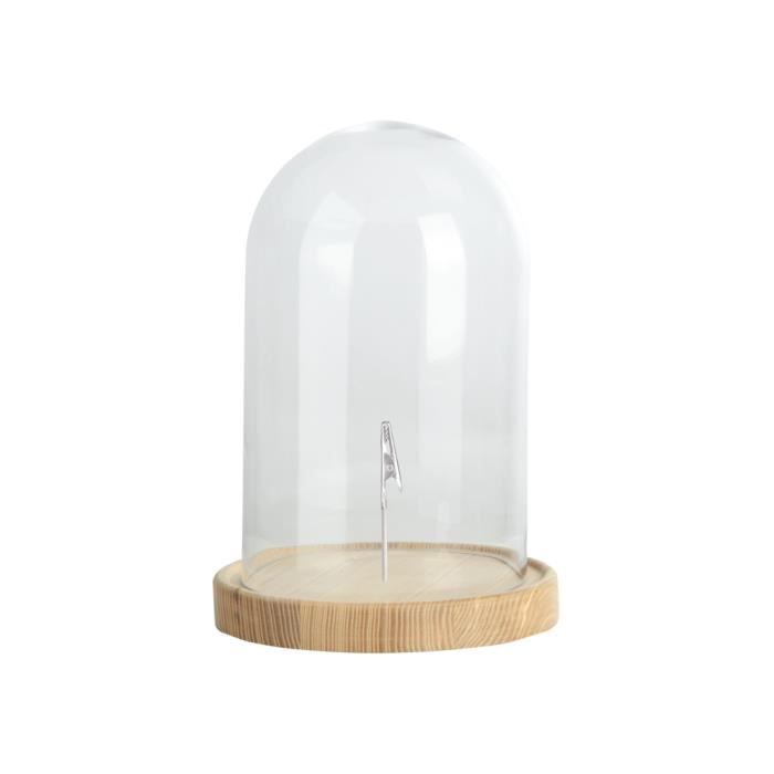 Plantes artificielles - Cloche en verre sur socle en bois - D 20,5 cm x H 31 cm Transparent